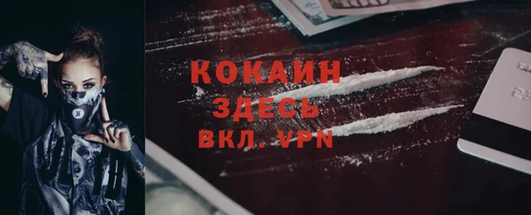 PSILOCYBIN Осинники