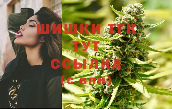 молекула духа Осташков
