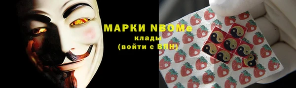 молекула духа Осташков