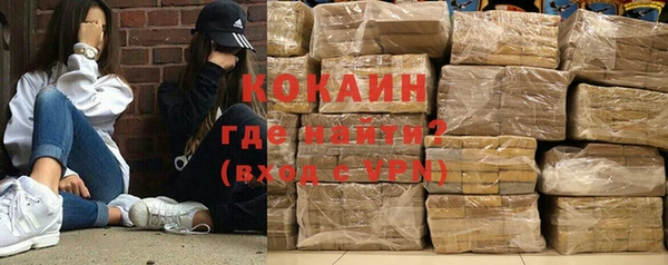 молекула духа Осташков