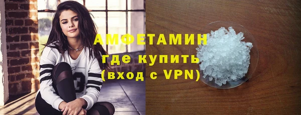 молекула духа Осташков