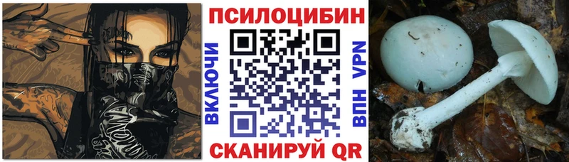 Галлюциногенные грибы Psilocybine cubensis  Находка 