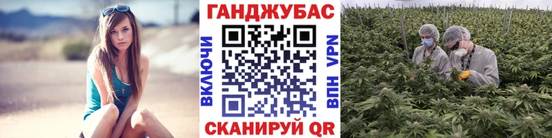 Шишки марихуана Bruce Banner  Находка 